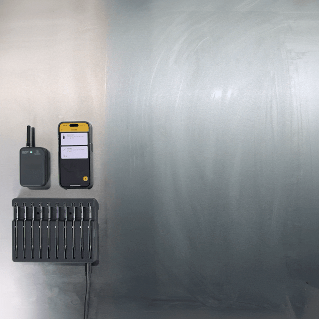RFX-Meat-10-Probe-Charging-Block-action.gif